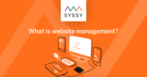 What is Website Management